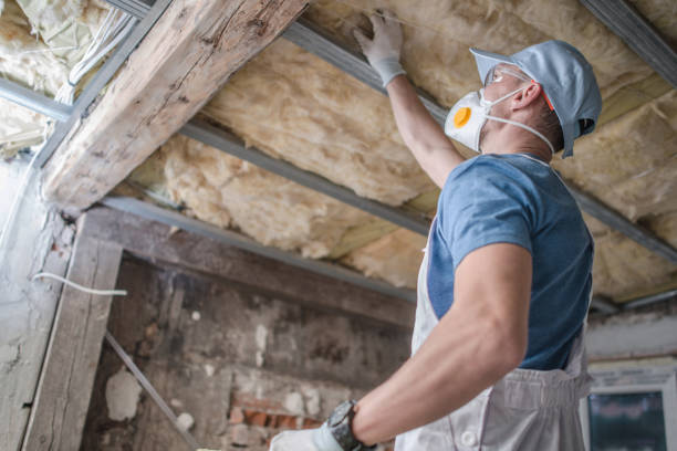 Best Insulation Installation Services in Cannon Af, NM